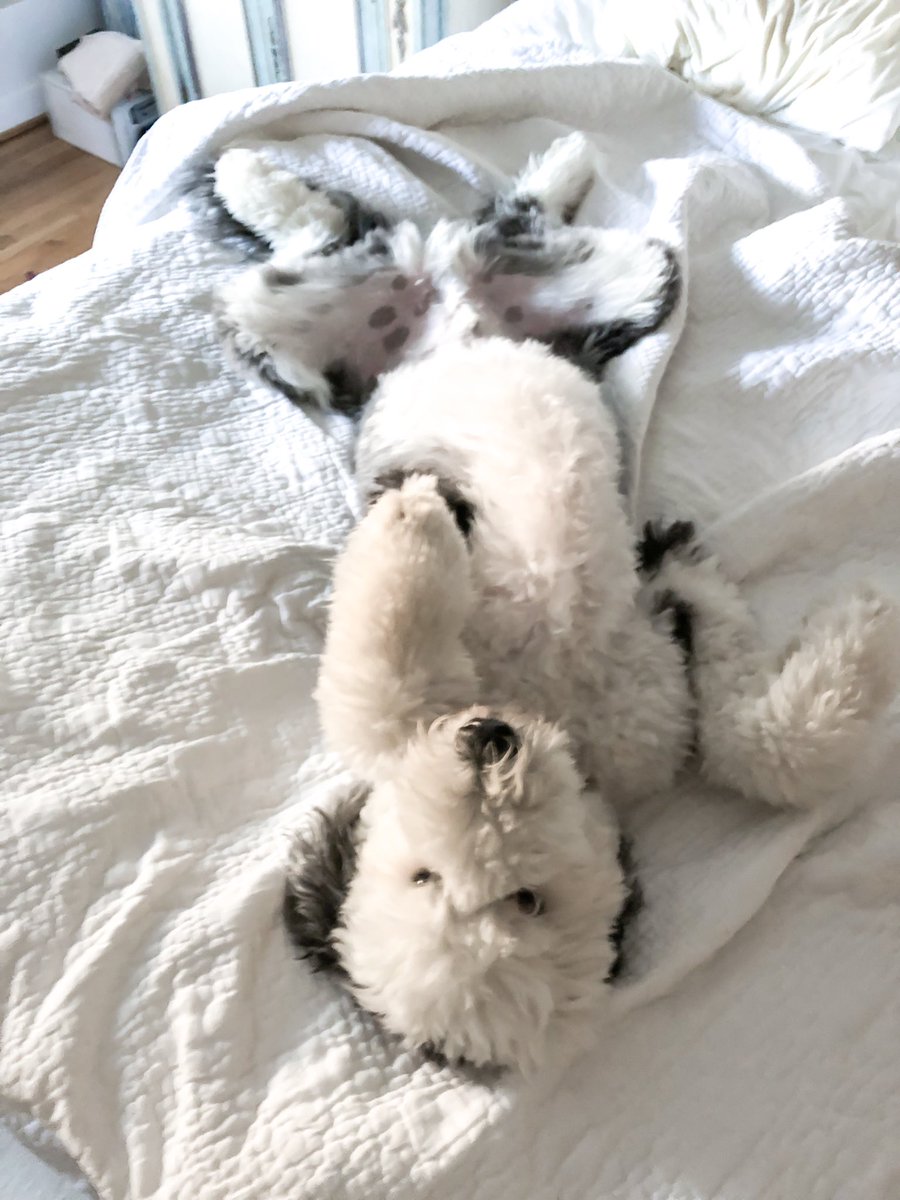 otis unleashed tweet media