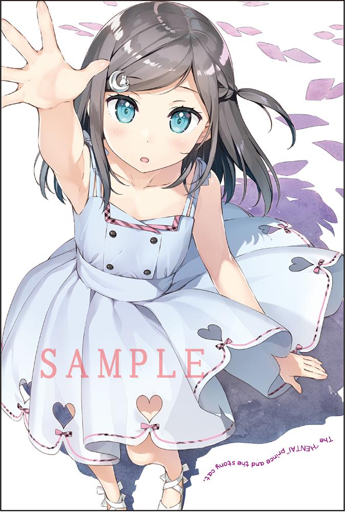 これまでで最高の変体 王子 と 笑わ ない 猫 アニメ ポスト 最高のアニメ画像 これまでで最高の変体 王子 と 笑わ ない 猫 アニメ ポスト 最高のアニメ画像