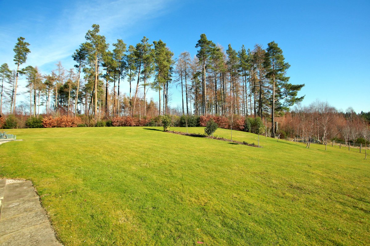 AC_Banchory's tweet photo. Another cracking house for sale in the beautiful Inchmarlo estate - ideal for those downsizing and looking for relaxed, peaceful living.  Offers Over £249,000 and ready to move in straight away! 

https://t.co/Qcz9991fe0 https://t.co/us5gGpoNFX