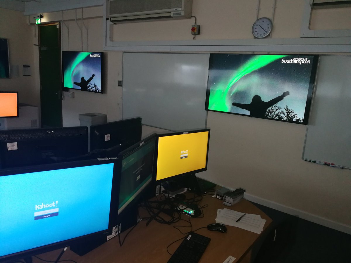 Aurora Zoo tweet media