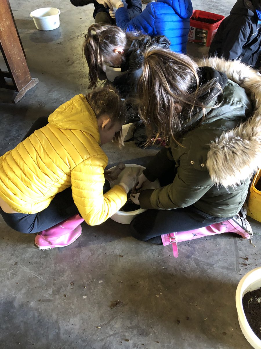 MissPerrett's tweet photo. What a fantastic Developing the Young Workforce Week! P7B enjoyed their activities based on grounds work learning about soil, sustainable housing, gamekeeping and lots more. Huge thanks to all involved @DunsPrimary @sumgroupuk @FlemingHomes @TheRHET @RHET_SBCI @melanietknox https://t.co/7L5Ag9V3Il