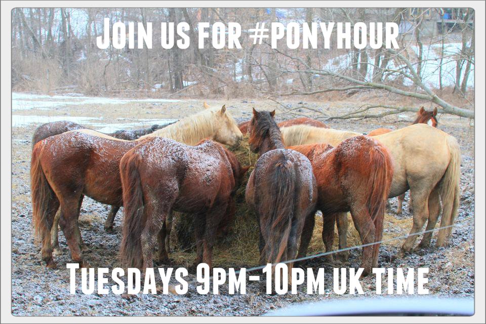 Would you like a retweet for your #horse related tweet ~ just use the #ponyhour hashtag in your tweets we RETWEET all week long 
and 
if you'd like to chat, join us at 9pm Tuesday UK time to talk #ponies, horses, donkeys, mules, all things equine &amp; #equestrian