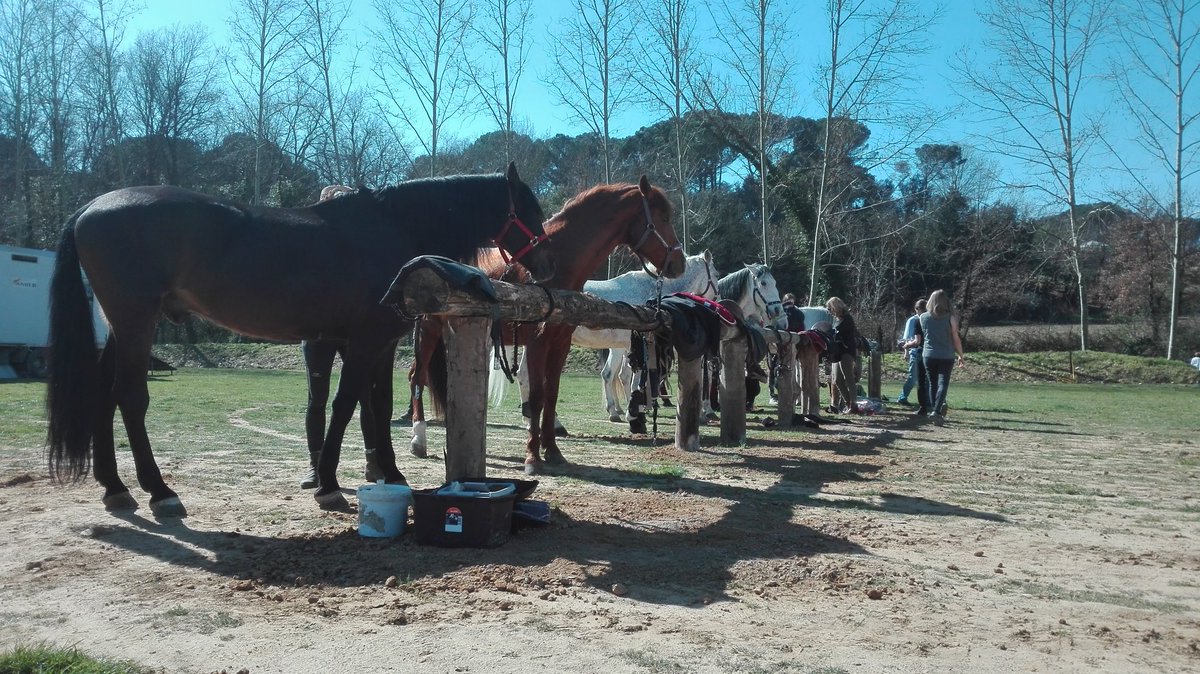 Som a #CaldesdeMalavella cobrint la Fira de la Terra. 

Ben aviat us oferirem el més destacat al web de La Selva TV.