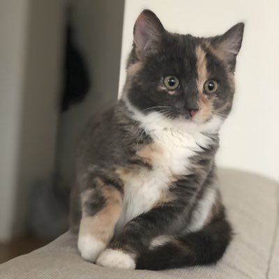 Jonathan Norling tweet media