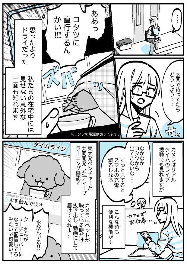 ペット見守りサービスを使ったら、クーさんの意外な一面を知ったレポ漫画。

#PR #ペットみるん ＃お留守番ペット #見守りカメラ #犬 #マンガ #漫画 #ディープラーニング
・iOS… 