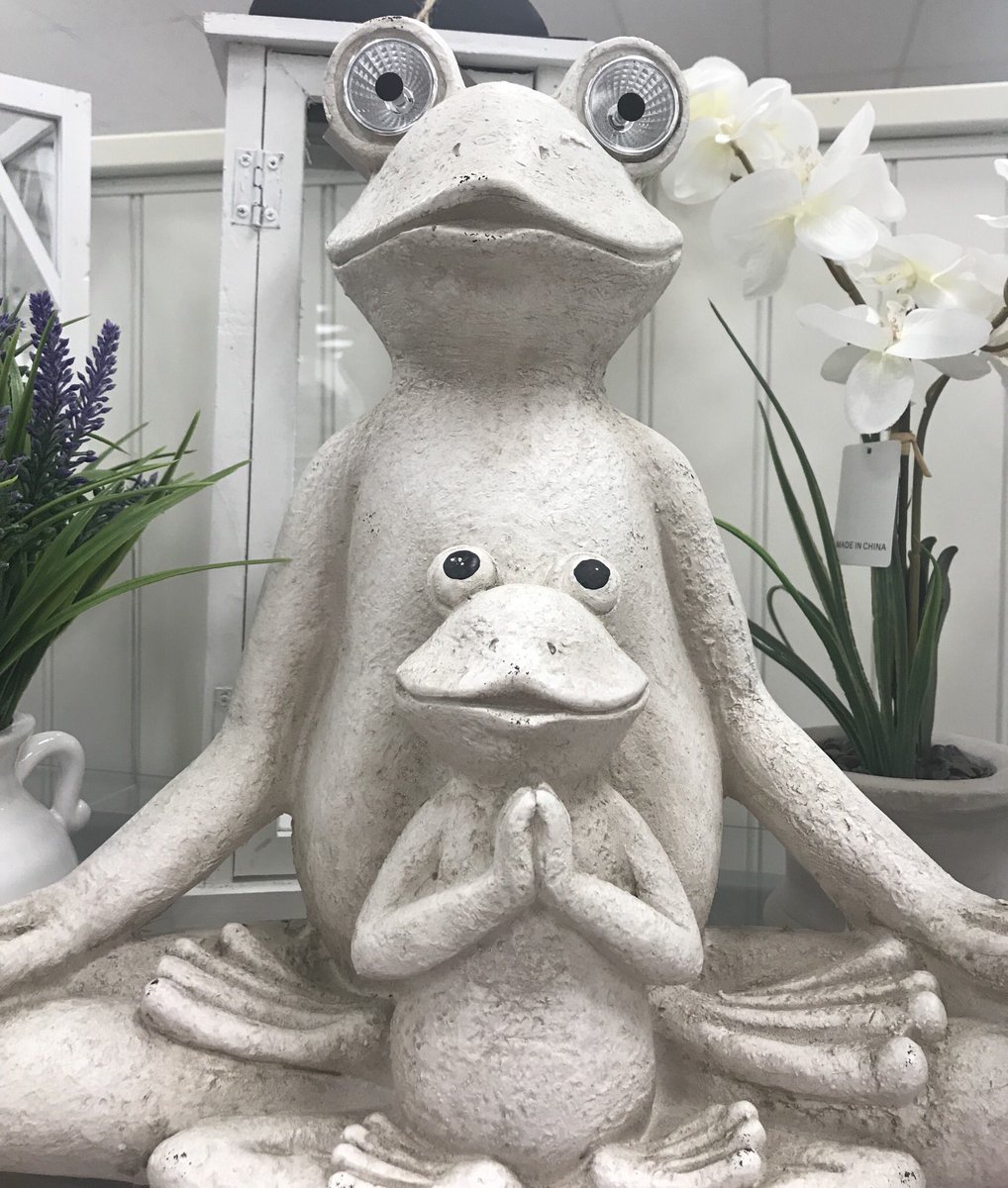 qualityfloat's tweet photo. Your early morning zen moment. #frogs #laugh #saturdayfun #findyourfloat #floatfound https://t.co/rOF1wsSWIo