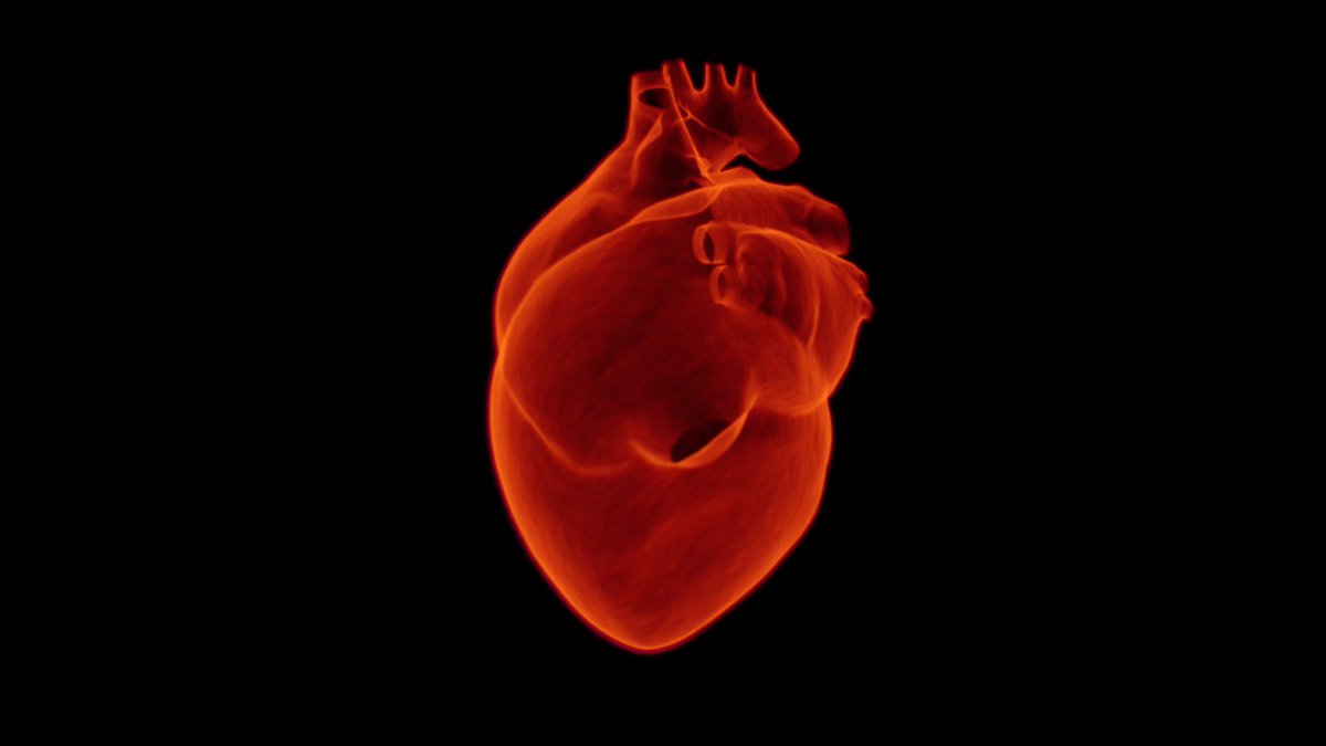 Argos (@argosonderzoekt) on Twitter photo Luister om 14 uur <a href="/nporadio1/">NPO Radio 1</a> #Hartpatienten kregen ongeinformeerd een omstreden #stent ondanks kennis van de risico's. Onderzoek van Argos en <a href="/FTM_nl/">Follow the Money</a> vpro.nl/argos/lees/nie… Luister om 14 uur <a href="/nporadio1/">NPO Radio 1</a> #Hartpatienten kregen ongeinformeerd een omstreden #stent ondanks kennis van de risico's. Onderzoek van Argos en <a href="/FTM_nl/">Follow the Money</a> vpro.nl/argos/lees/nie…