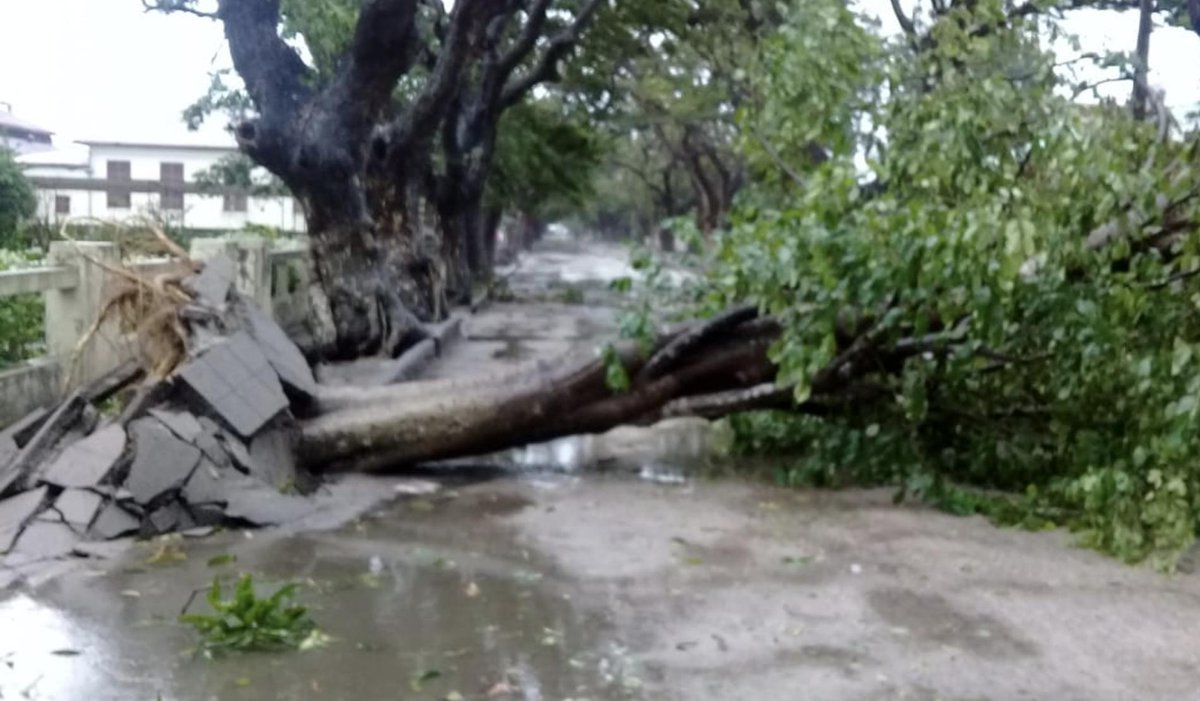 ZtaUpdates's tweet image. The Mystic of the #EasternHighlands has been hit hard by Cyclone Idai, our hearts are with everyone located in our precious gem #Chimanimani.
#ZimTourism