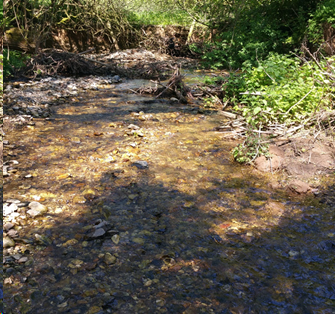 elyethefish's tweet photo. @woodinrivers @Blacky_Himself These before and after pictures show how a dynamic beaver dam in a deep silty channel transformed about 50m of stream as it washed out. @DevonWildlife #devonbeavers
https://t.co/adNRmdOENZ https://t.co/OEpMKpCYD1