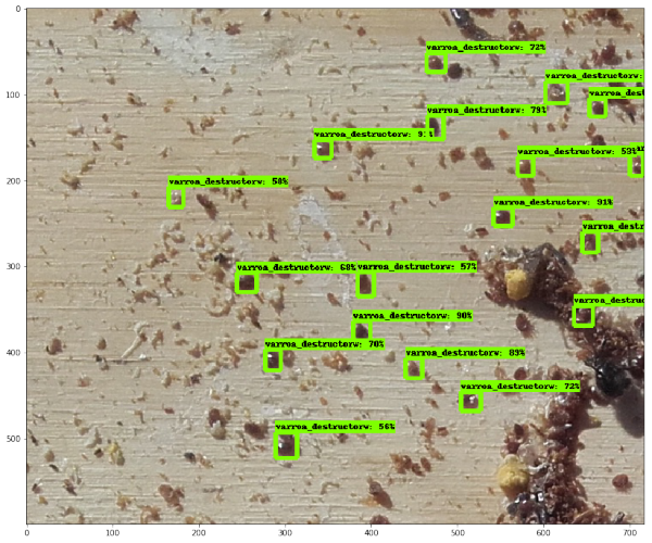 bittrack (@bittracksystems) / Posts / X
