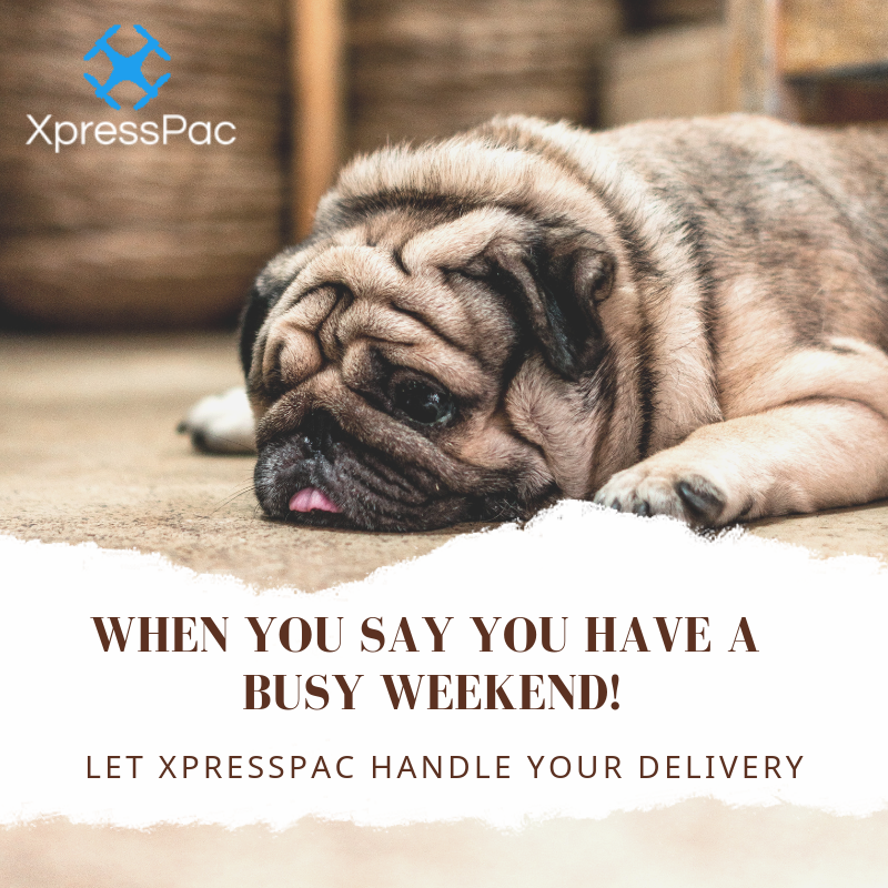 XpressPac's tweet photo. When you say you have a busy weekend! Let XpressPac handle your delivery. to know more visit: https://t.co/Bb65Uk3OU9
.
.
#HoustonDeliveryService #SameDayDelivery #UrgentDelivery #GetItNow 
#TGWHX #HoustonToAustinSameDayDelivery #HoustonToDallasSameDay https://t.co/poN0XruRY0