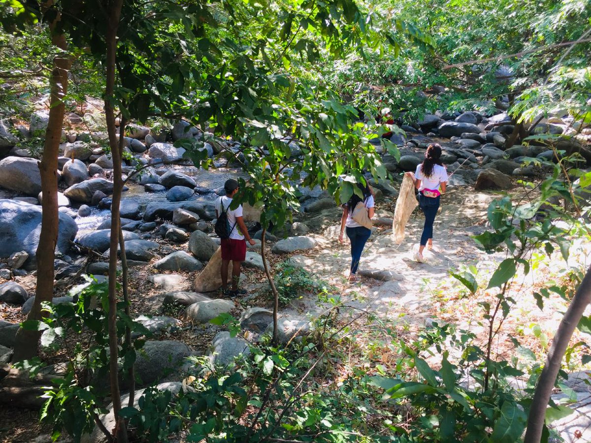 asfamilias's tweet photo. Con el Equipo de #CiudadJovenColombia #Santamarta aceptamos el  #BasuraChallenge #MeUnoBavaria 
Por un mejor Planeta 🌏
@asfamilias https://t.co/CNEKwr6lXi