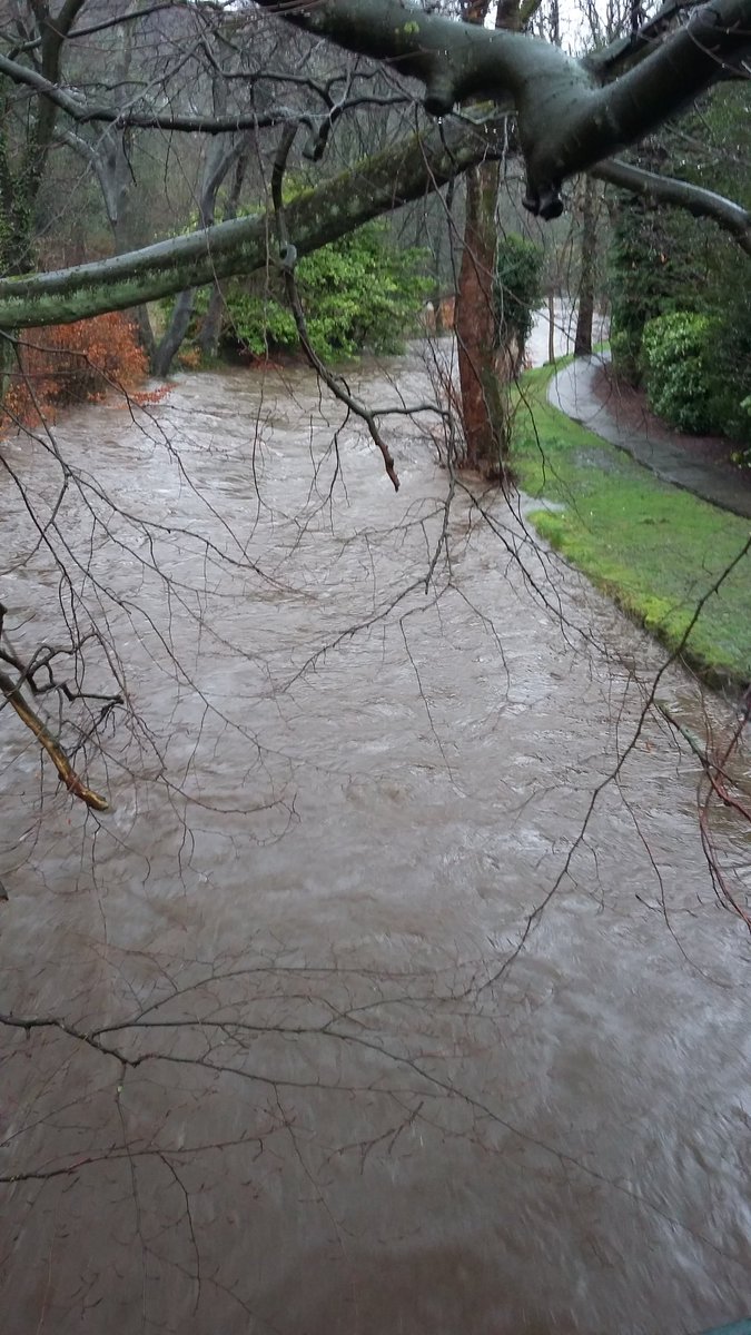 melmorrish's tweet image. River a bit high in uppermill