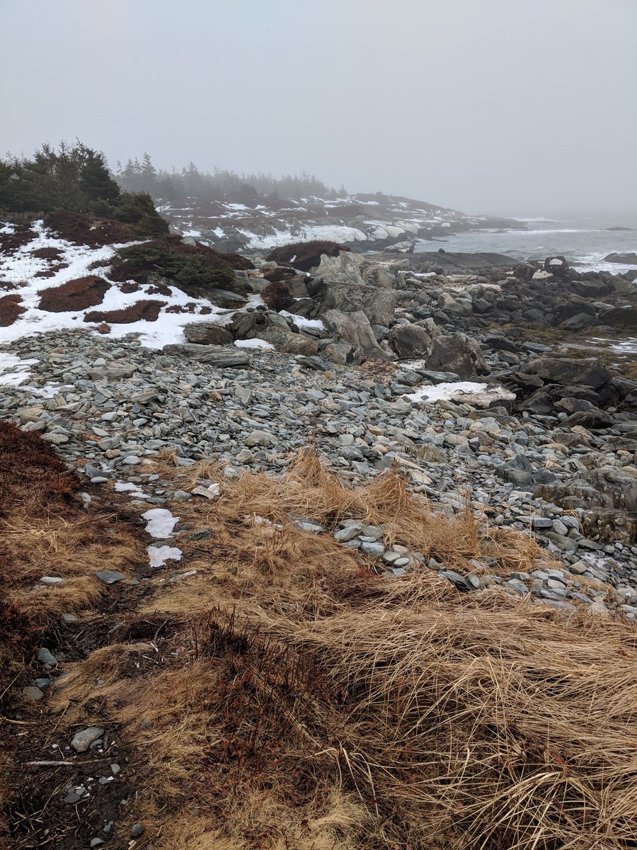 JustinTylerLee's tweet photo. Stop wondering what's around the next bend, you will only find another bend. https://t.co/nmWpm8ZF57