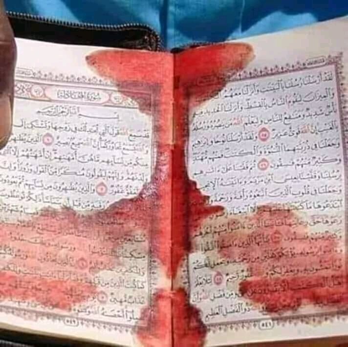 Hamzamerrouni's tweet photo. هذا القرآن الكريم سيكون شهيدا لشهداء نيوزيلندا في يوم القيامة ❣
#حادث_نيوزيلندا_الارهابي
#NewZealandTerroristAttack
#ChristchurchMosqueAttack
#Prayfornewzeland https://t.co/JPlyuknH2O