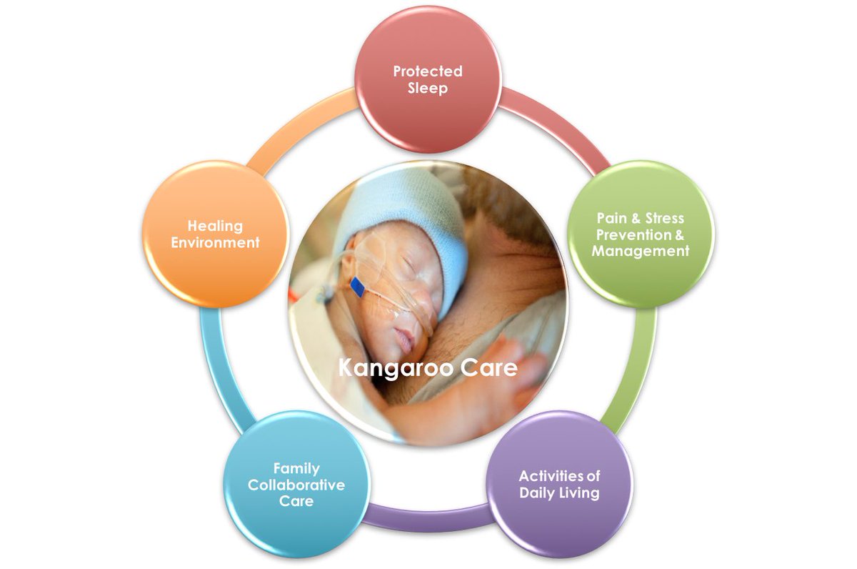 Aligee1205's tweet photo. ⁦@meccares⁩ developed the core measures for Developmental care to minimise long term effects from hospitalisation #traumainformedcare #braindevelopment #mentalhealth ⁦@ACEAwareNation⁩ ⁦@NatLeadAHPCYP⁩ ⁦@NicoleBauwens⁩ https://t.co/6Cbfq5y9l8