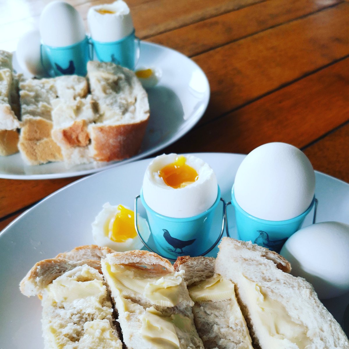 NewMacsFarm's tweet photo. Bath White dippy eggs ππ³ I boil ours for 5.5 minutes (medium #eggs) for a perfect runny golden yolk ππ₯ #TheBathWhiteEgg #PastureFreeRange #CompletelyNaturalColour #OrganicFed #HappyHens #LocalEggs https://t.co/YH0MkyZ6yq