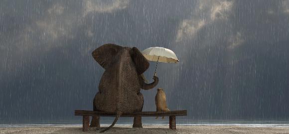 smarchant57's tweet photo. 17 Quotes About Compassion That Will Inspire You to Make a Difference and Be Happy https://t.co/CAFqjUAIAE https://t.co/w8EpX9mvdh