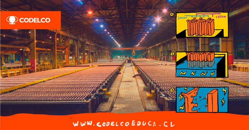 CodelcoChile's tweet photo. Parece magia, pero en realidad se trata de un proceso químico llamado electrólisis. Así nace el famoso cátodo, el formato en que se transa el cobre en los mercados internacionales. ¡Aprende sobre esto y mucho más en #CodelcoEduca! https://t.co/zcSHfcHhlY https://t.co/2H5AZvNvs9