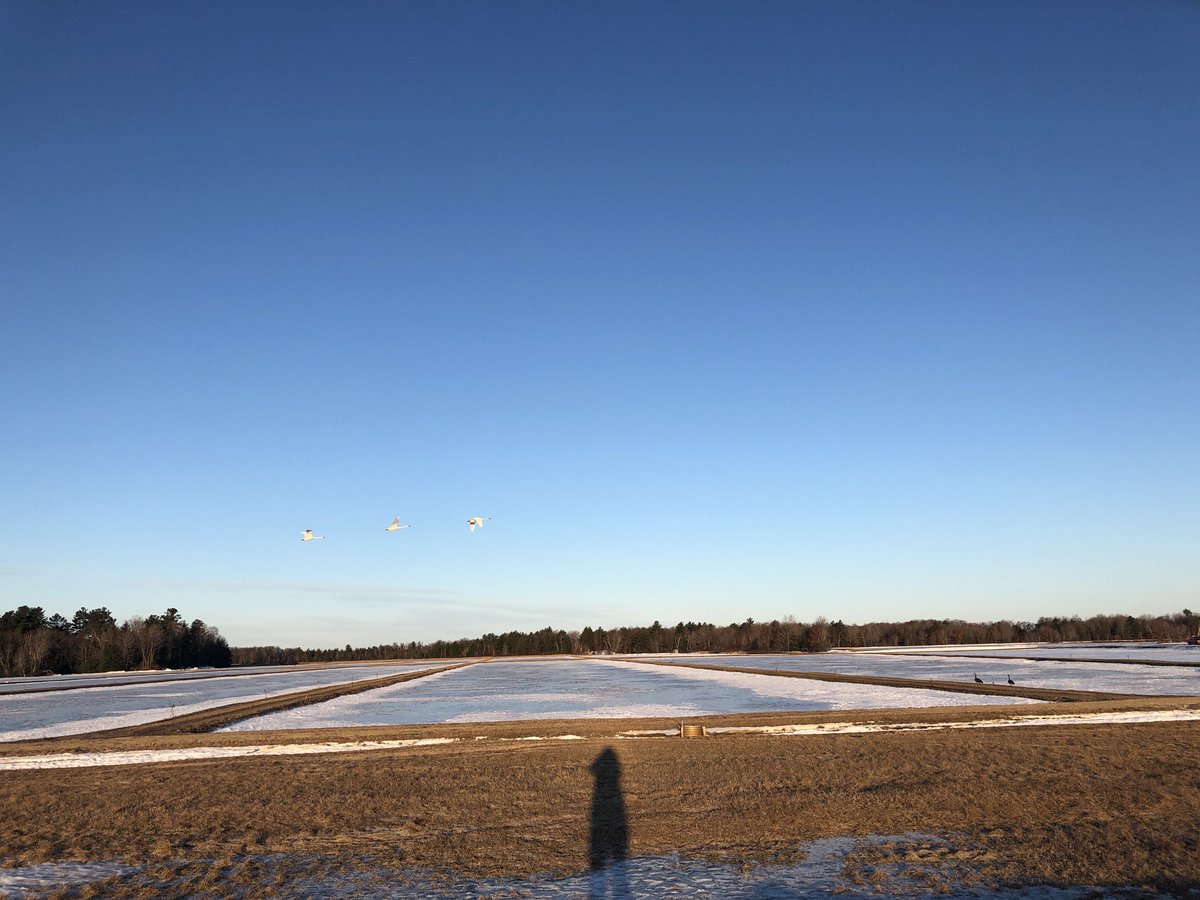 lislhd's tweet image. Can’t wait to present at #fusion19 with Julia Recko @AgFoundation on why agricultural books matter! But first, I’m getting a little inspiration on my morning marsh run. #BrewingFBLeaders