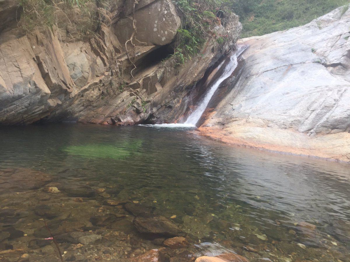 Lê Ngọc Bách tweet media