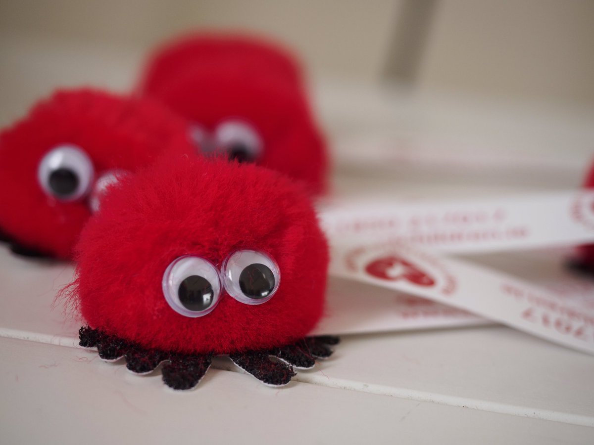 heartchildren_'s tweet photo. Meet our new little fundraising friend but it has No Name 😞
Can you help us pick a name ???
Winning child will be posted out some HCI goodies ❤️ #justforfun #nameit #hcicommunity https://t.co/imOqd8eack