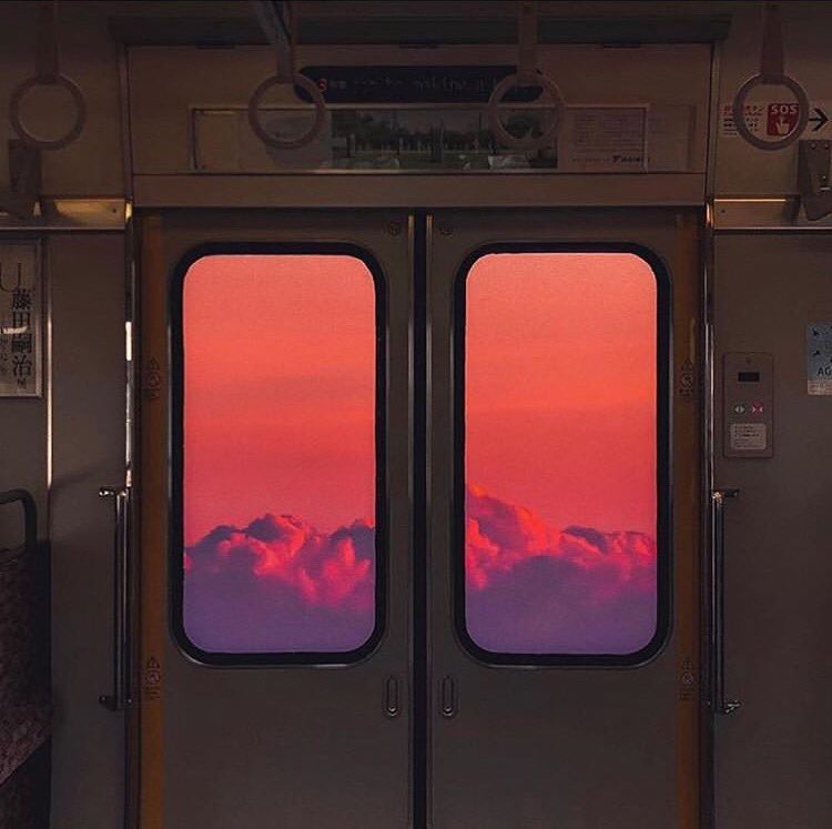 ArtsGenetic's tweet photo. @hello_dongwon || @ArtsGenetic || https://t.co/nrYD39AHxM https://t.co/pomfJkT3UG