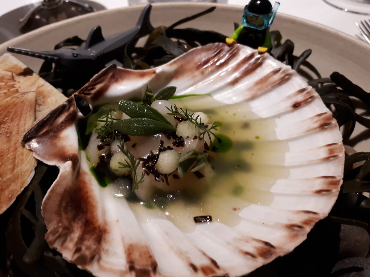 ‘Diver-caught’ scallops 😉 <a href="/DaTerra_London/">Da Terra</a> <a href="/TownHallHotel/">Town Hall Hotel</a> 
#BethnalGreen