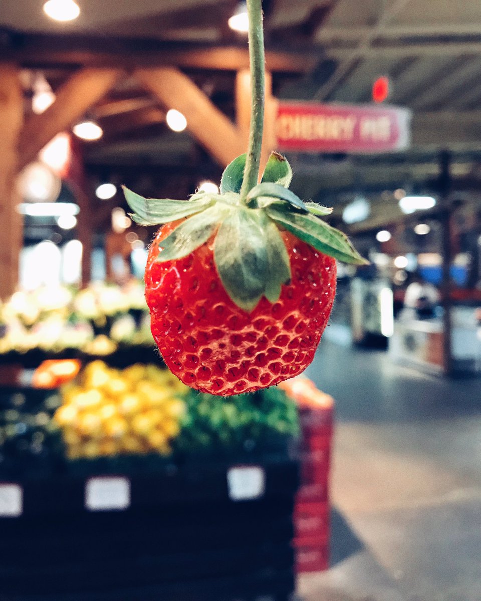 Hello Saturday🍓

#farmersmarket #cherrypit #yyc #yycliving