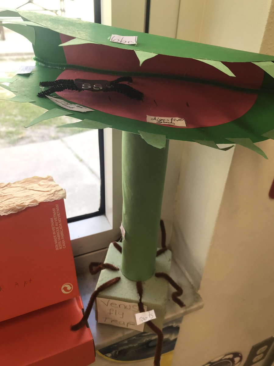 desilvaEDU's tweet photo. 3rd grade 3D flowers on display! This teacher LOVES springtime in the classroom. Yes, those are petals made of glittery Pringles chips 😍@ChilesElem https://t.co/hjcsGuFKQ6