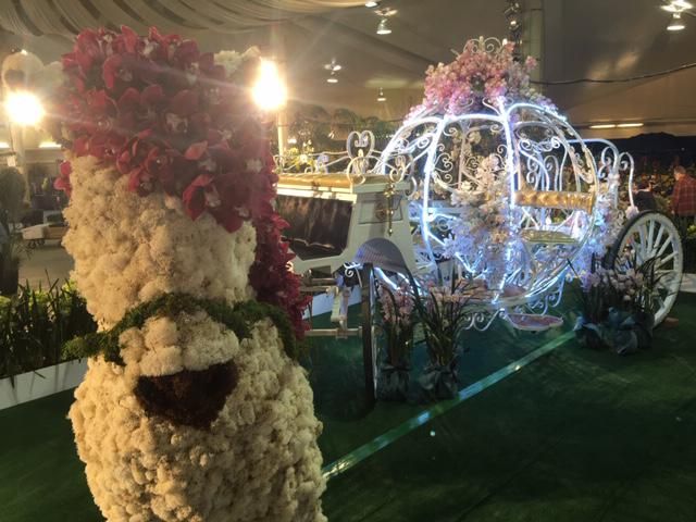 SBOrchidShow's tweet photo. Orchid Fans From Around The World Headed To Santa Barbara County https://t.co/LuiEP0TUkf #SBIOS #orchids #SantaBarbara #flowers #picoftheday https://t.co/ufpehhJUEg