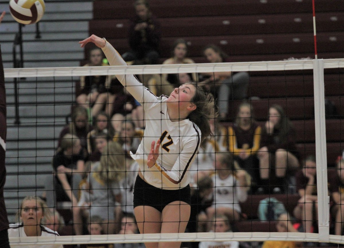 ANKENY FANATIC tweet media