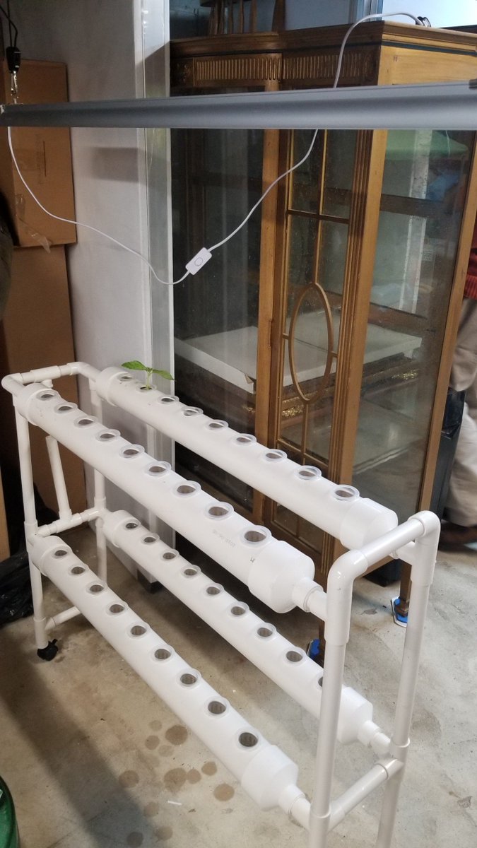 RonBennington2's tweet image. Hydro garden...….wish me luck.