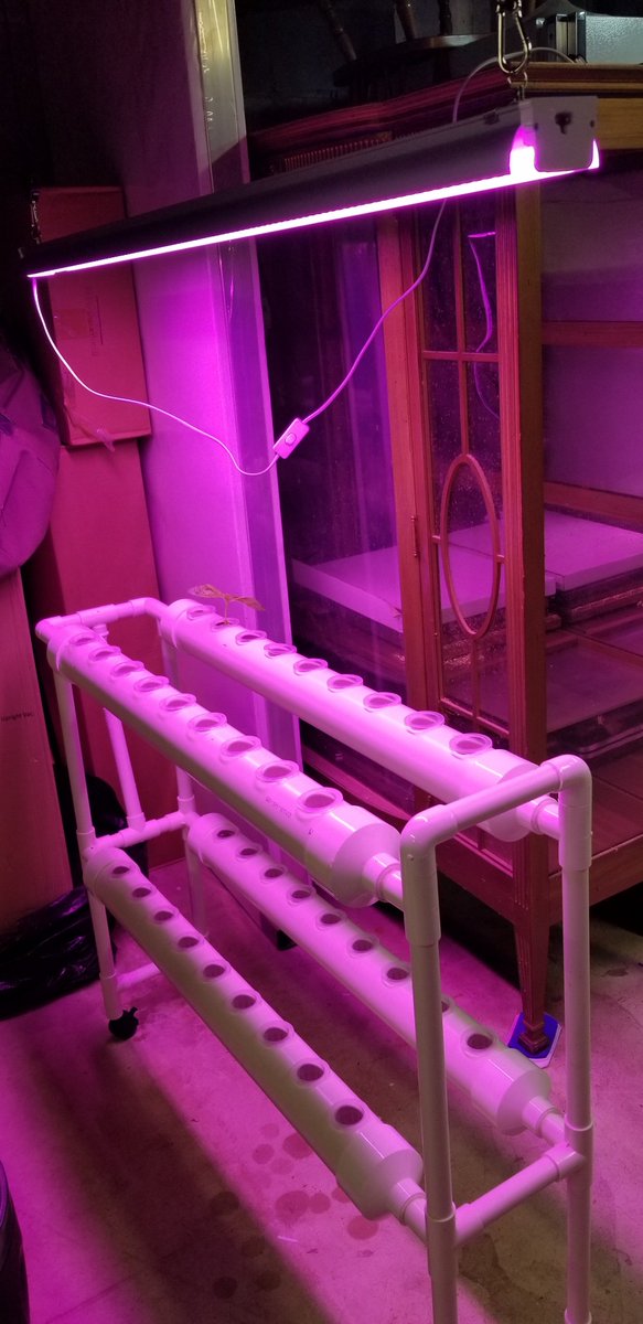 RonBennington2's tweet image. Hydro garden...….wish me luck.