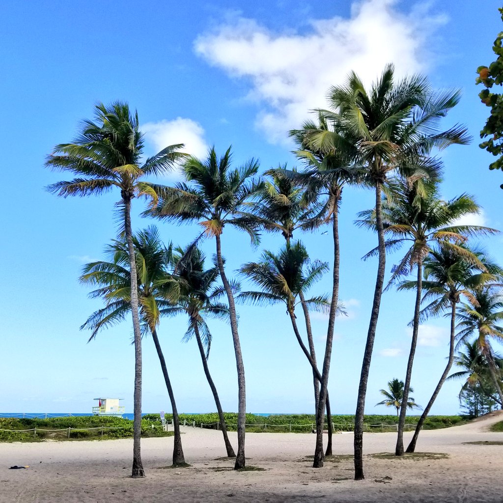 NancyRichmond's tweet photo. Every time I stand before a beautiful beach, its waves seem to whisper to me: If you choose the simple things and find joy in nature’s simple treasures, life and living need not be so hard. 🌞🌴 #MiamiBeach https://t.co/e2ff5ScBZw