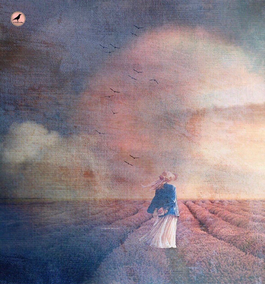 DistressedFX's tweet image. Distressed FX proudly presents this amazing distressed image from our Instagram tag #distressedfx. Congratulations to this featured artist!
~~~~~~~~~~~~~~~~~~~~~~~~~~~
🐦🌿 @alede_3