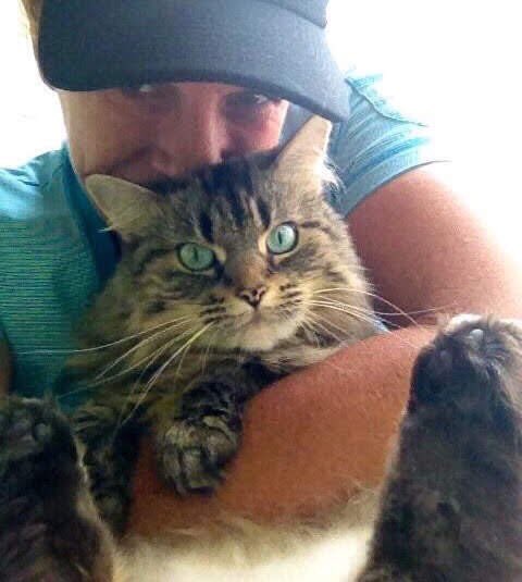 KarilizWilson's tweet photo. Hi I’m Izzy. I was adopted 10 yrs ago. Karen takes me on walks,plays hide &amp; seek,taught me to catch ball &amp; throw it back. 💔 to see her 😥I need surgery to remove lump. Thx for any help: My Fundraiser: https://t.co/QAqUnU8cG8
*🇨🇦 E-transfers accepted: karilizwilson@gmail.com https://t.co/CrqhrIkLpM
