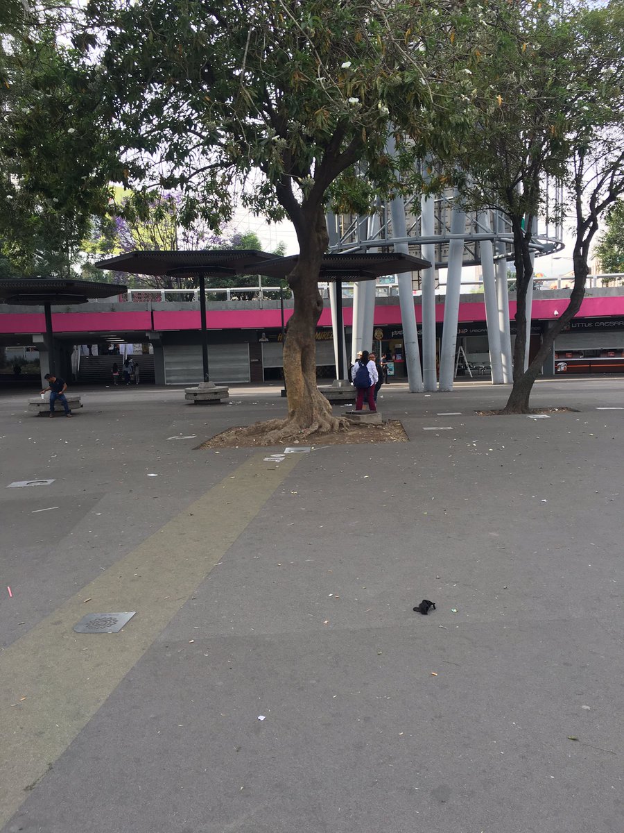 silviamreza's tweet photo. El deterioro de los espacios públicos comienza cuando carecen de mantenimiento. Teoría de la #ventanarota: La Glorieta de Insurgentes que no tiene mucho de haber sido intervenida y es un basurero @seduviCDMX #ciudadmx @Claudiashein @su_cdmx https://t.co/XtmRXL3fnJ