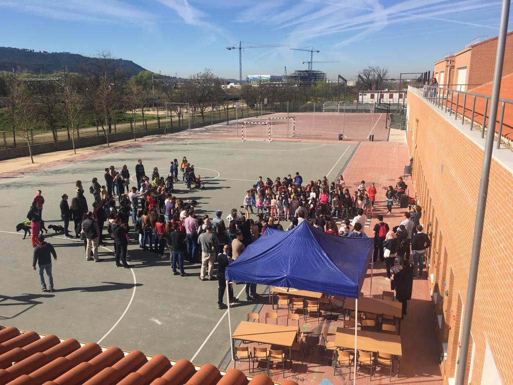 AytoAlcalaH's tweet photo. 🐶 Esta mañana, @diana_diaz_pozo ha acompañado al Colegio Público Antonio Mingote en su jornada de adopción de animales, organizada en colaboración con APAMaG https://t.co/UNREThSUSB