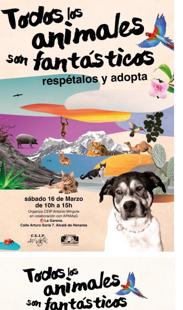AytoAlcalaH's tweet photo. 🐶 Esta mañana, @diana_diaz_pozo ha acompañado al Colegio Público Antonio Mingote en su jornada de adopción de animales, organizada en colaboración con APAMaG https://t.co/UNREThSUSB