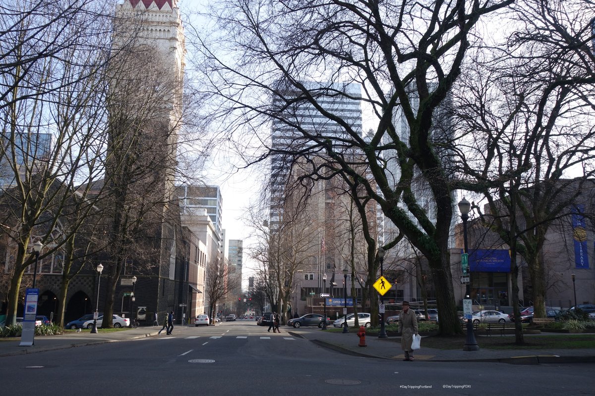 TravelerWeekend's tweet photo. #Portland - #weather 31° at 8:24 but will be a beautiful 61° later in the day!!
#Portlanders waited a long time for the dreaded Winter to end - now its time to rejoice!
#Photo - Chilly morning in the SW Park Blocks, Portland
#DayTrippingPortland #Travel #Walks https://t.co/gHVbFtok82
