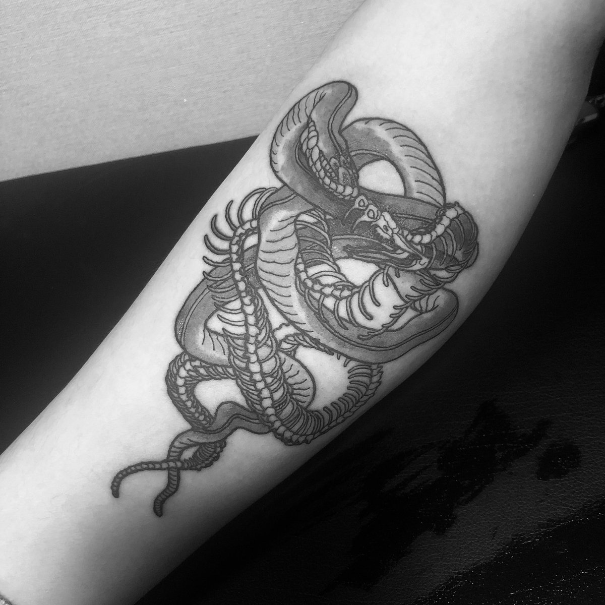 ✖️우주공룡✖️ . . . #타투 #그림 #아트 #그림타투 #드로잉 #스케치 #디자인 #일러스트 #블랙 #블랙타투 #tattoo  #design #drawing #greemtattoo #sketch #draw... – @greemtattoo on Tumblr, image size:1200x1200