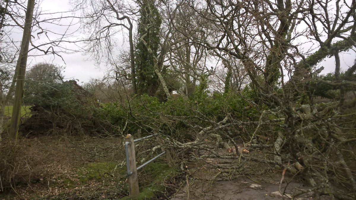 Hampshire Roads Policing Unit tweet media