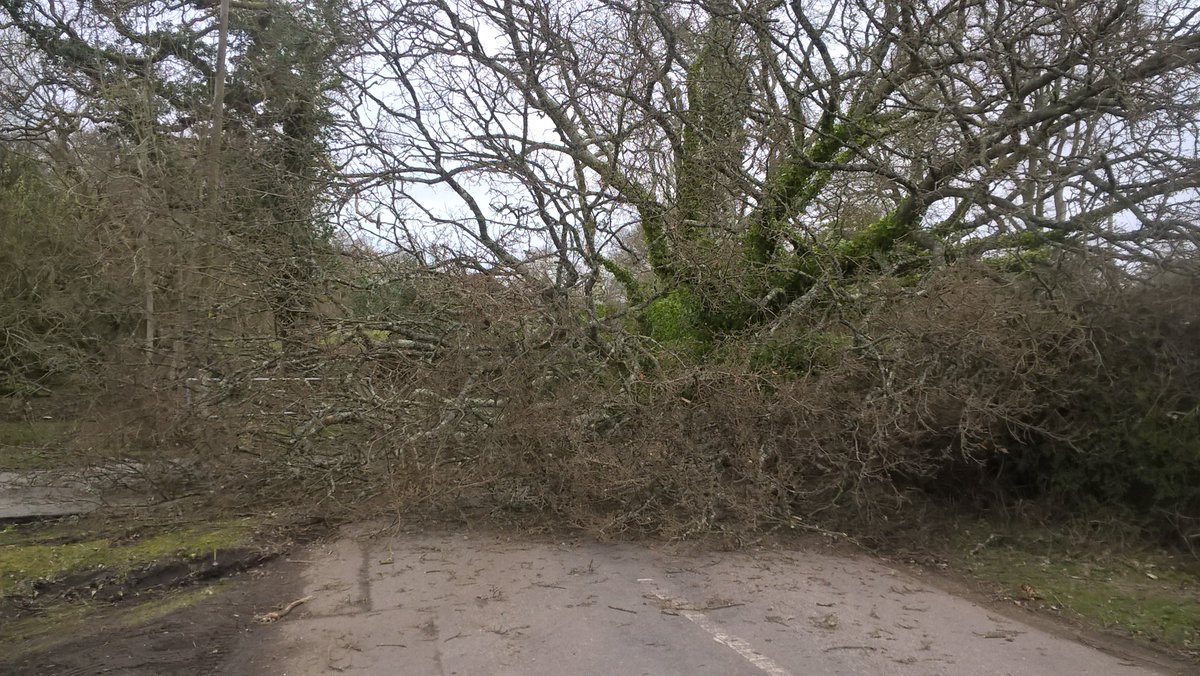 Hampshire Roads Policing Unit tweet media