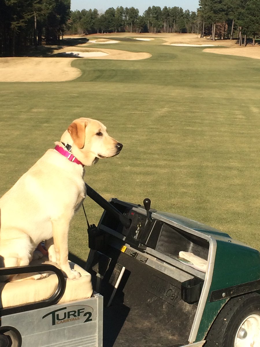 Dan Taylor tweet media