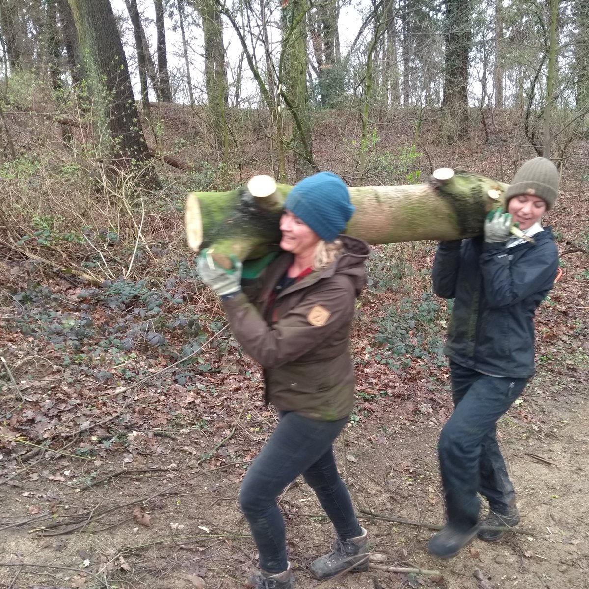 robertgilissen's tweet photo. Het hakhoutseizoen zit er weer op! Vandaag in #hellingbos @GemSimpelveld de laatste plukjes Esdoorn bestreden en liggende stammen stormhout opgeruimd. Nu alle groen en bloei weer laten ontluiken en heerlijk genieten van deze mooie plek. Dank aan de #vrijwilligers! @StichtingIKL https://t.co/LP8xVs3uBl