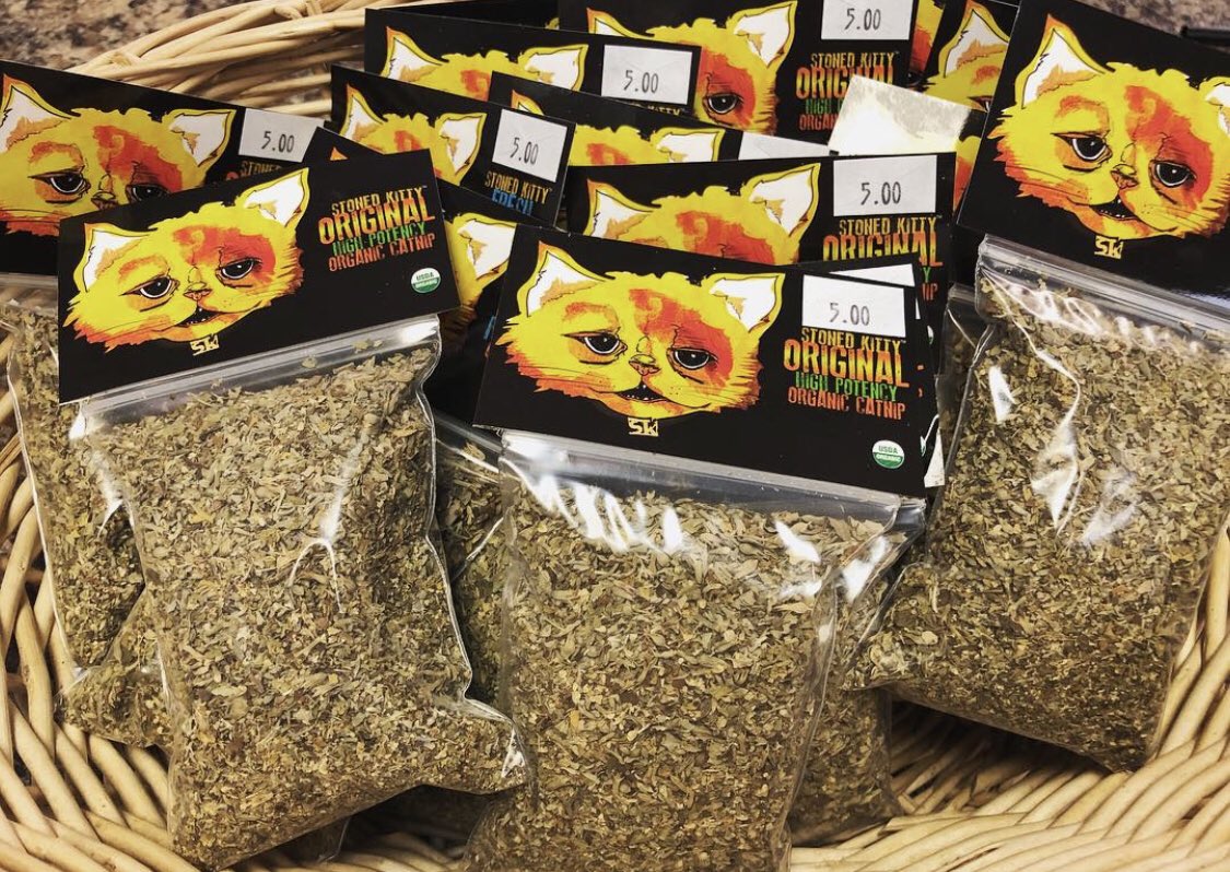 Go to stonedkittycatnip.com or <a href="/KarmaKatCafe/">KarmaKat Cafè</a> to get your kitty some green goodness for #StPatricksDay! They’ll feel so lucky to have you. 🌈🍀🐈