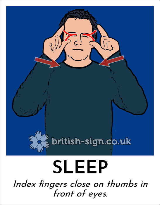 BritishSignBSL tweet picture