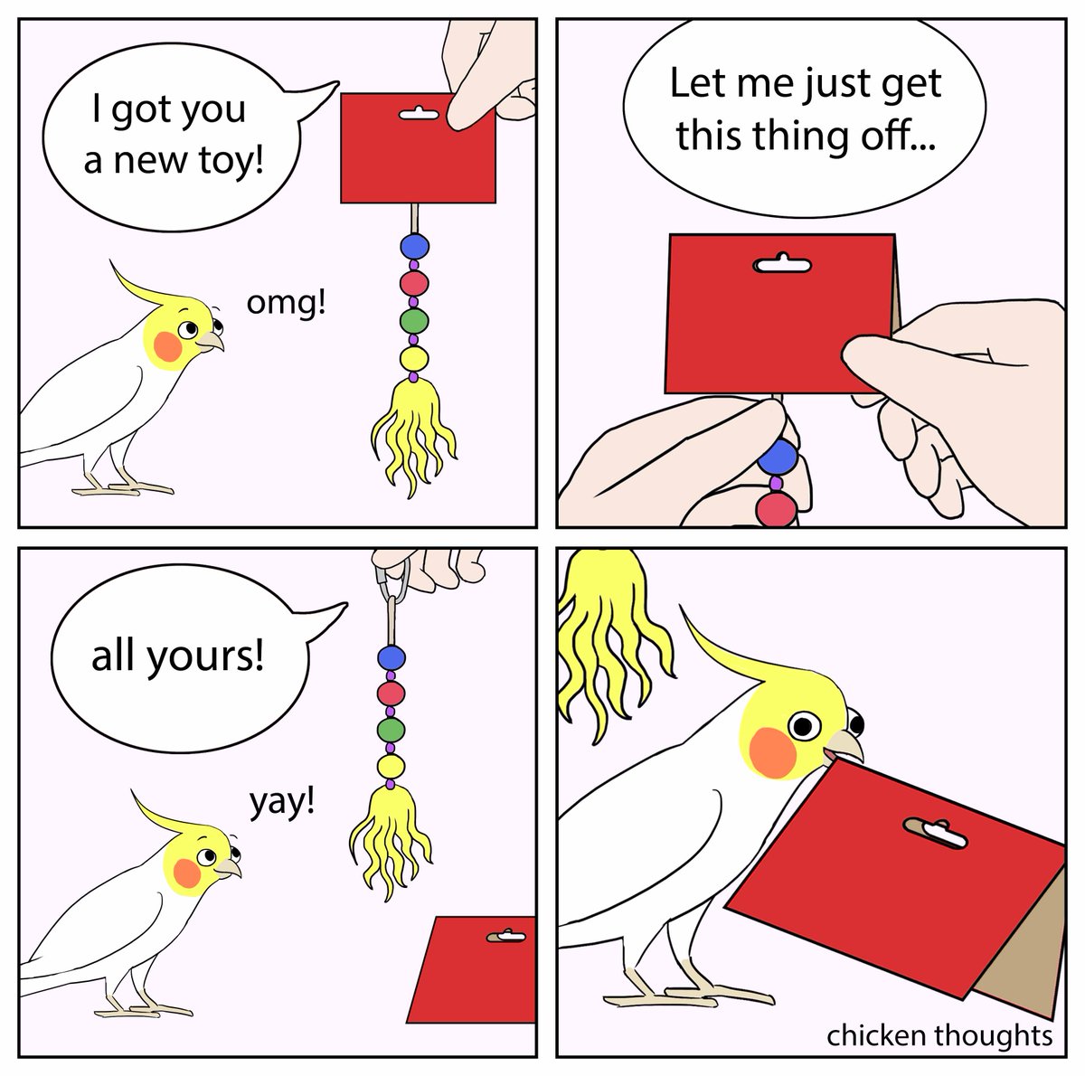ChickyThoughts's tweet image. #birb