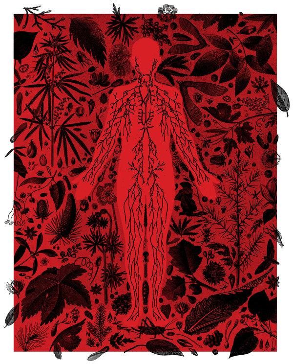 Five second rule! LOL  -->  “I tell people, when they drop food on the floor, please pick it up and eat it,” said Dr. Meg Lemon, a dermatologist in Denver who treats people with allergies and autoimmune disorders."
 nyti.ms/2FaGf4s